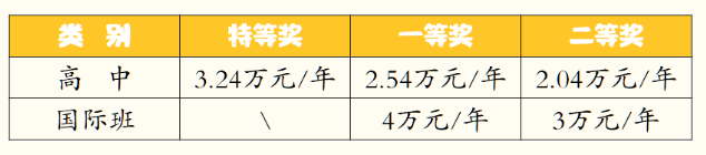 2023年成都市成都棠湖外國語學校有沒有獎學金，政策是什么
