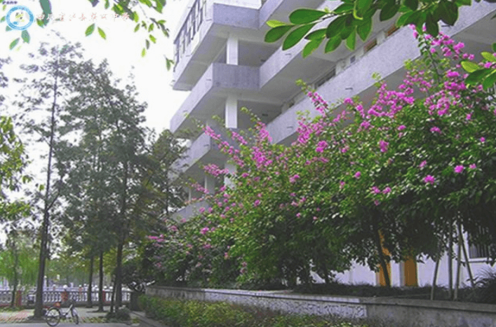 瀘縣第四中學校園風采