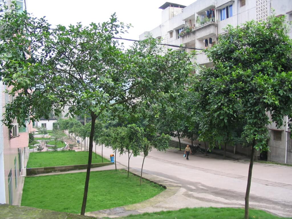 護國中學(xué)校園風(fēng)采