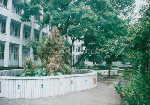 內(nèi)江十三中地址在哪？