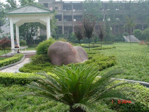 渠縣三匯中學(xué)校園風(fēng)采