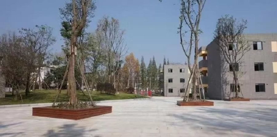 成都綿實外國語學校2019年招生公告公布了嗎？