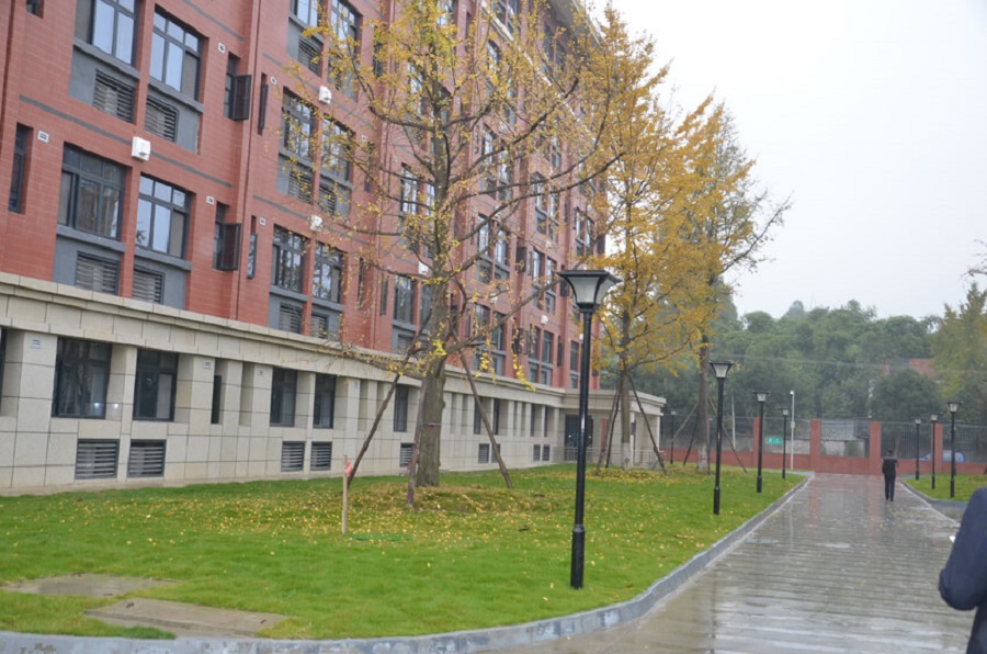 永安中學2019年升學率是多少？