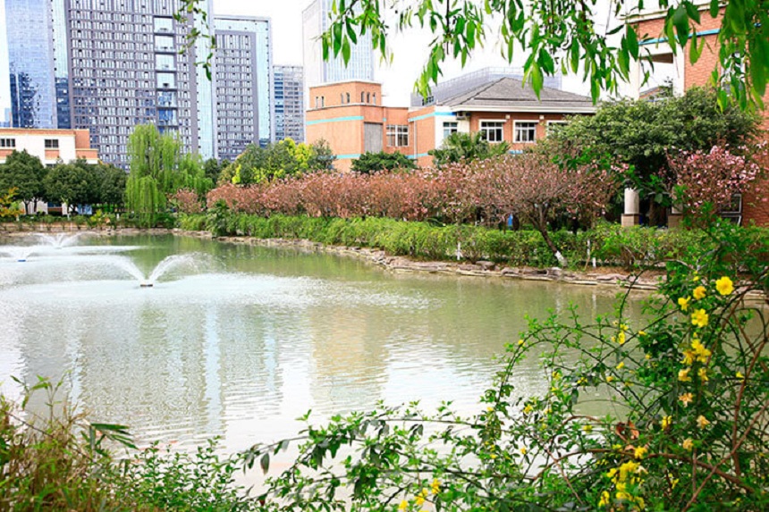 成都美視國(guó)際學(xué)校網(wǎng)址是什么？