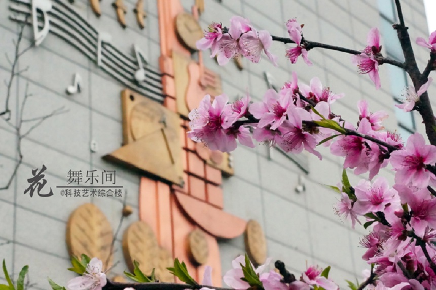石室天府中學(xué)環(huán)境好不好、怎么樣？