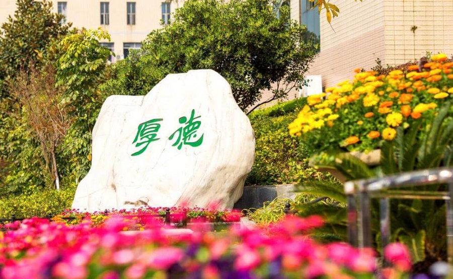 綿陽外國語學(xué)校學(xué)費(fèi)大概是多少？