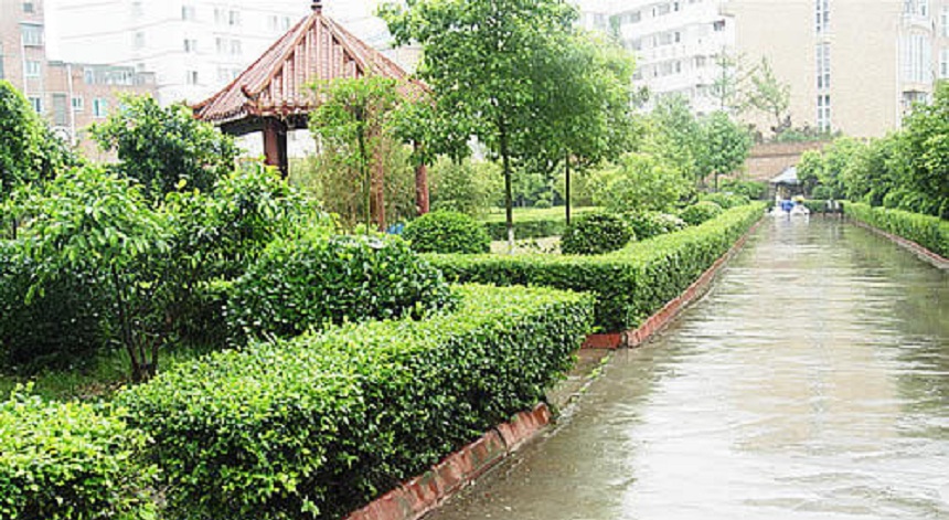 華興中學(xué)2019年中考分數(shù)線是多少？