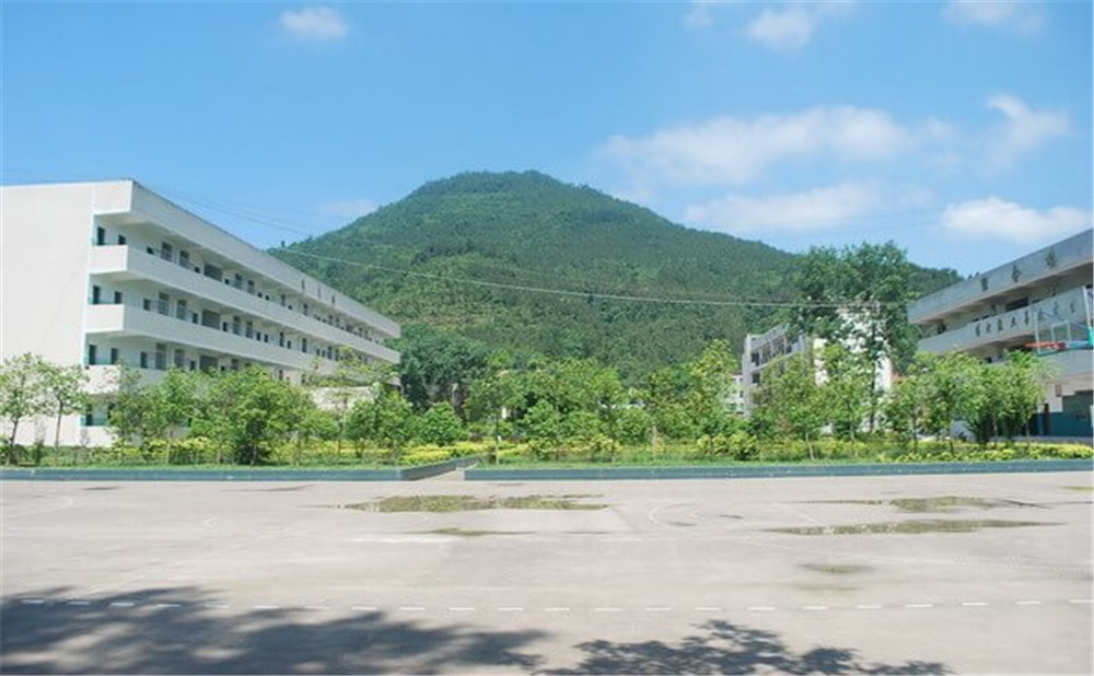金山中學學校環(huán)境如何？