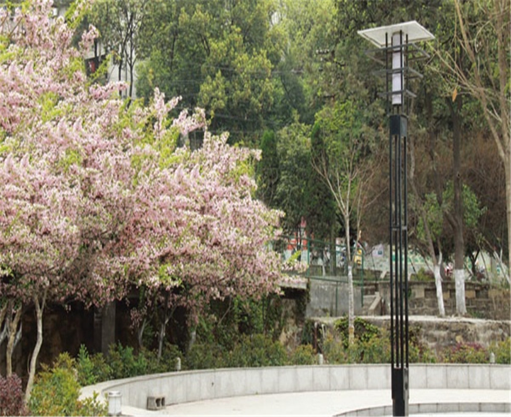 廣元實驗中學(xué)學(xué)校招辦電話是多少？