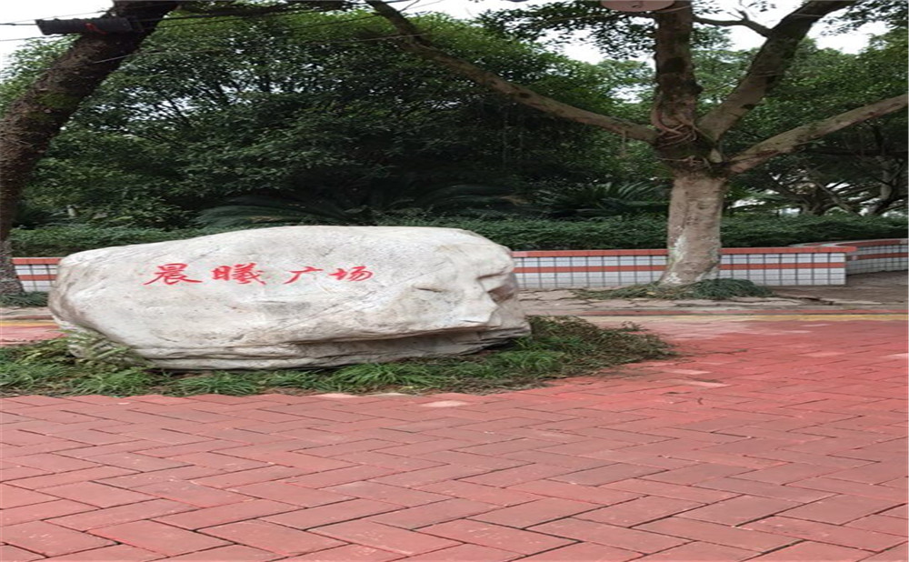內(nèi)江十二中2020年升學率怎么樣？