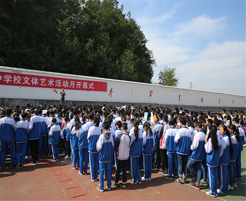 五龍中學的招辦電話是多少？