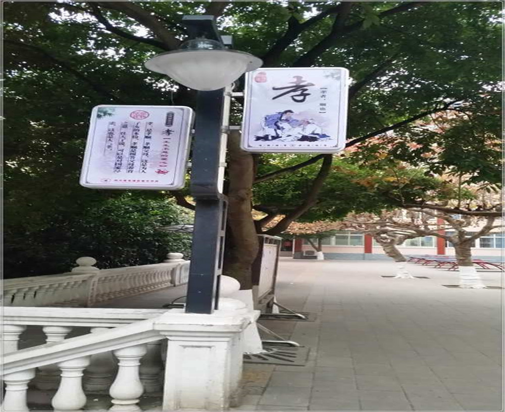 蒼溪實(shí)驗(yàn)中學(xué)2020年的招生簡章發(fā)布了嗎？