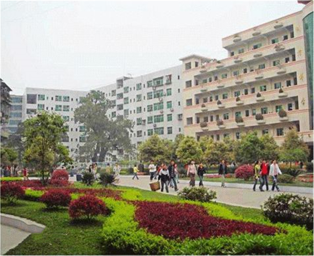 渠縣第二中學(xué)學(xué)校2020年的錄取分?jǐn)?shù)公布了嗎？
