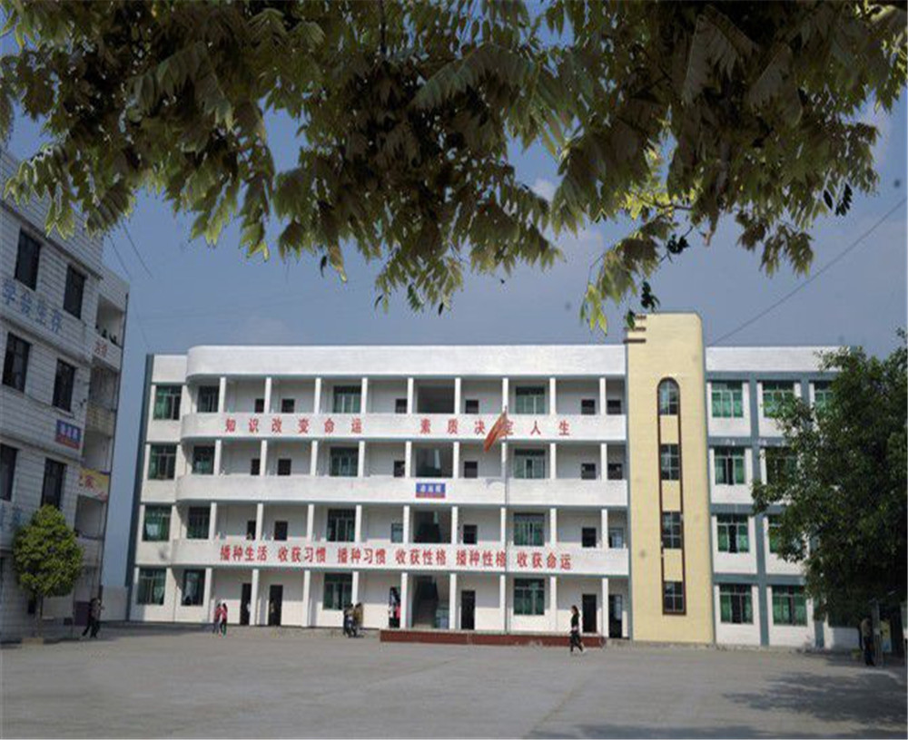 臨巴中學的詳細地址在什么地方？