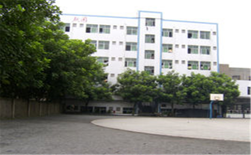 資中縣第三中學(xué)學(xué)校環(huán)境怎么樣？
