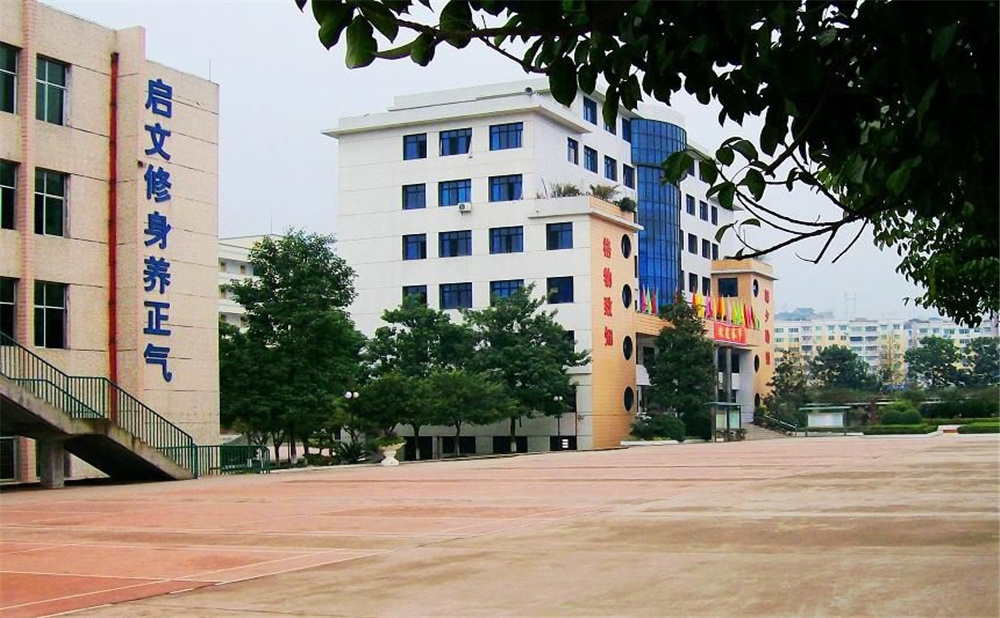 鄰水實驗學校2020年的錄取分數