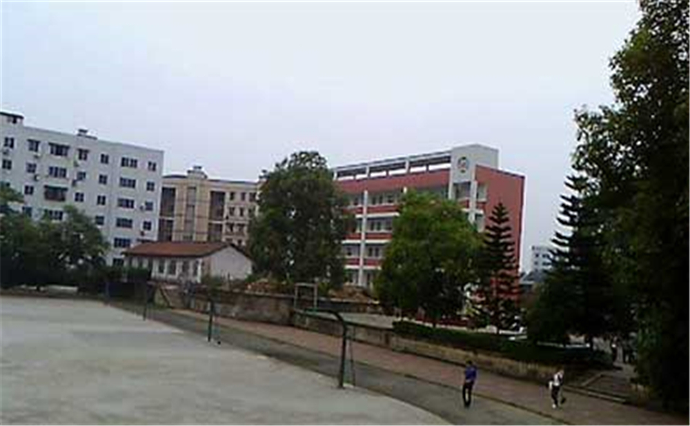 內(nèi)江十中2020年學(xué)校學(xué)費(fèi)多少錢一年？
