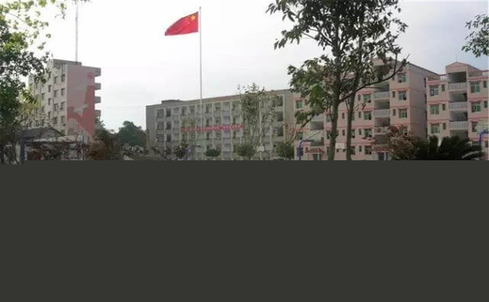 內(nèi)江市第十一中學(xué)學(xué)校環(huán)境怎么樣？