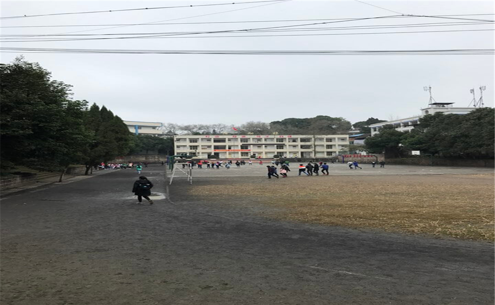 內(nèi)江十二中2020年學校學費多少錢一年？