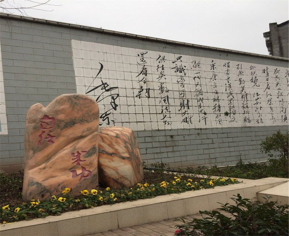 蒲家中學(xué)2020年招生計(jì)劃在哪兒看？