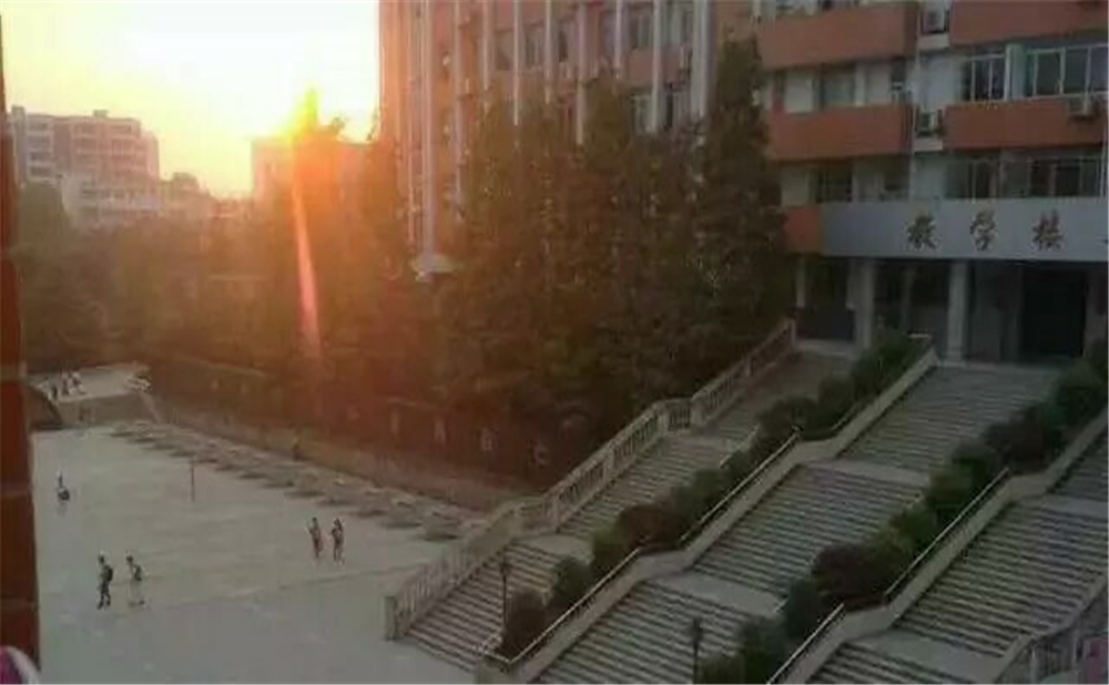 南充十一中學(xué)校招辦電話是多少？