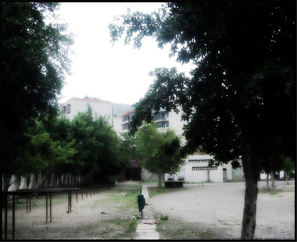攀枝花市延邊縣中學(xué)校招辦電話是多少？