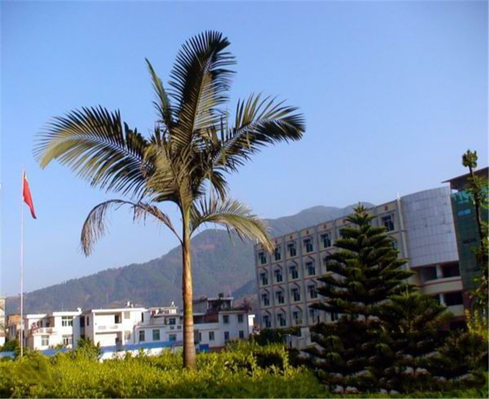 四川省鹽邊縣漁門中學(xué)2020年學(xué)校學(xué)費(fèi)多少錢一年？
