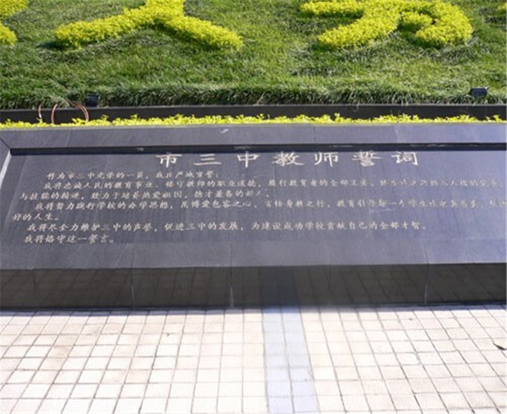 攀枝花市第三高級中學(xué)校2020年招生計(jì)劃公布了嗎？