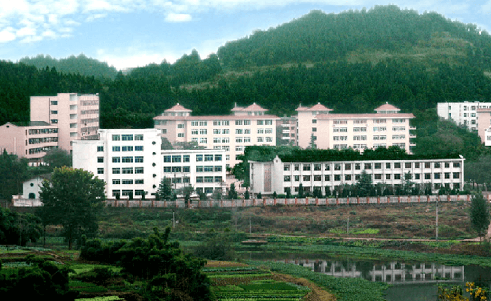 建興中學(xué)2020年學(xué)校學(xué)費(fèi)多少錢一年？