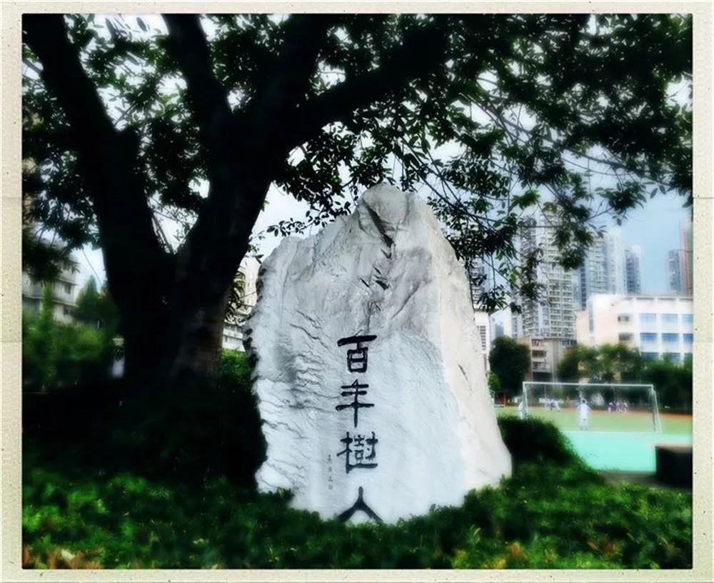 四川大學附屬中學2020年的錄取分數(shù)線是多少？