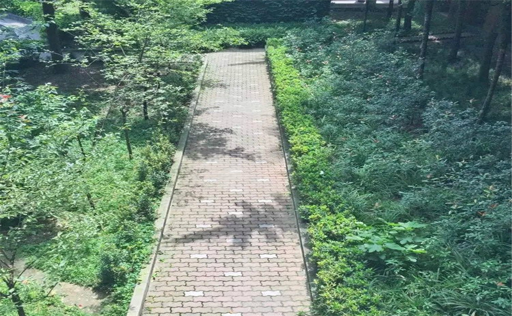 成都華西中學(xué)的高中怎么樣？