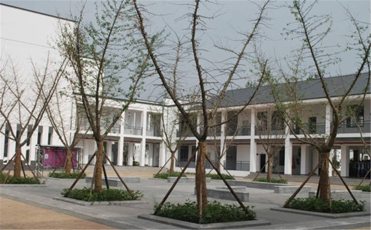 石室白馬中學(xué)的高中怎么樣？