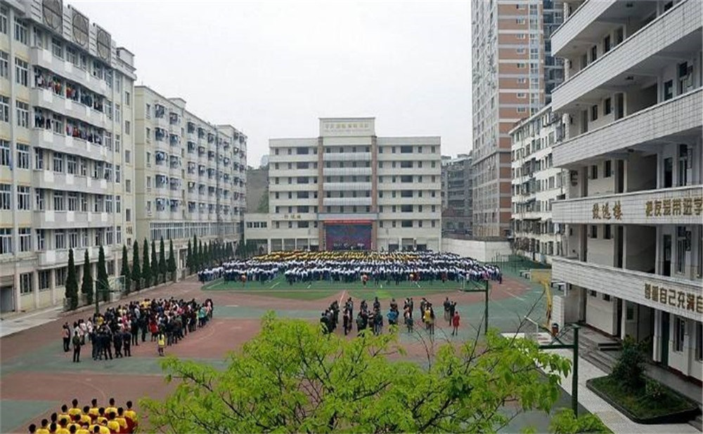陽(yáng)安中學(xué)每年的學(xué)費(fèi)是多少？