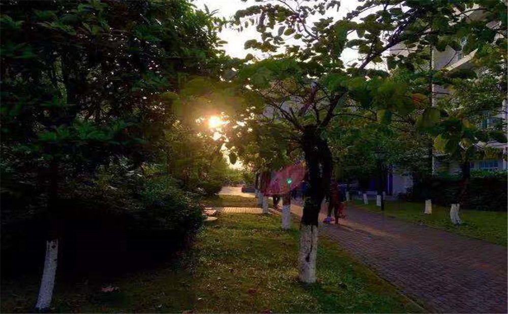 成都成飛中學升學率怎么樣？