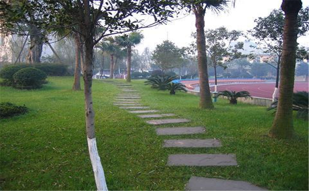 成都石室佳興外國(guó)語(yǔ)學(xué)校外招生一年的學(xué)費(fèi)是多少錢(qián)？