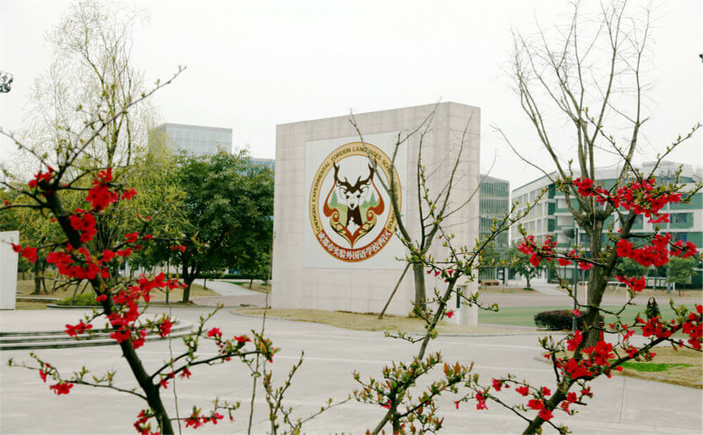 成都實(shí)驗(yàn)外國語學(xué)校（西區(qū)）的高考升學(xué)率是多少？
