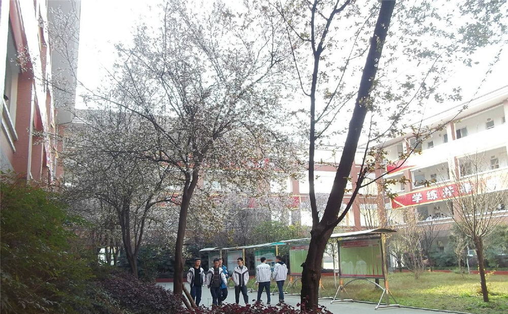 崇慶中學(xué)的去年錄取分?jǐn)?shù)線是多少分？
