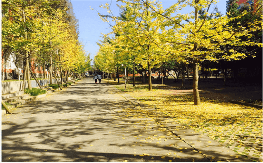 大邑中學(xué)2020年招生標(biāo)準(zhǔn)在哪兒看？