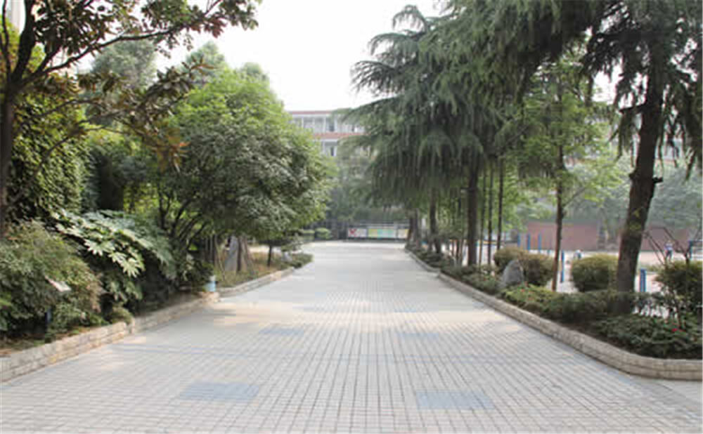成都列五中學(xué)的學(xué)費(fèi)是多少錢？