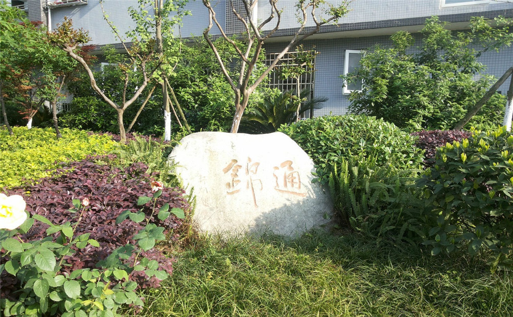 通錦中學(xué)2020年招生標(biāo)準(zhǔn)是什么？