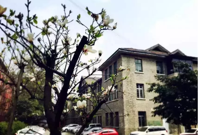 通錦中學的宿舍怎么樣？