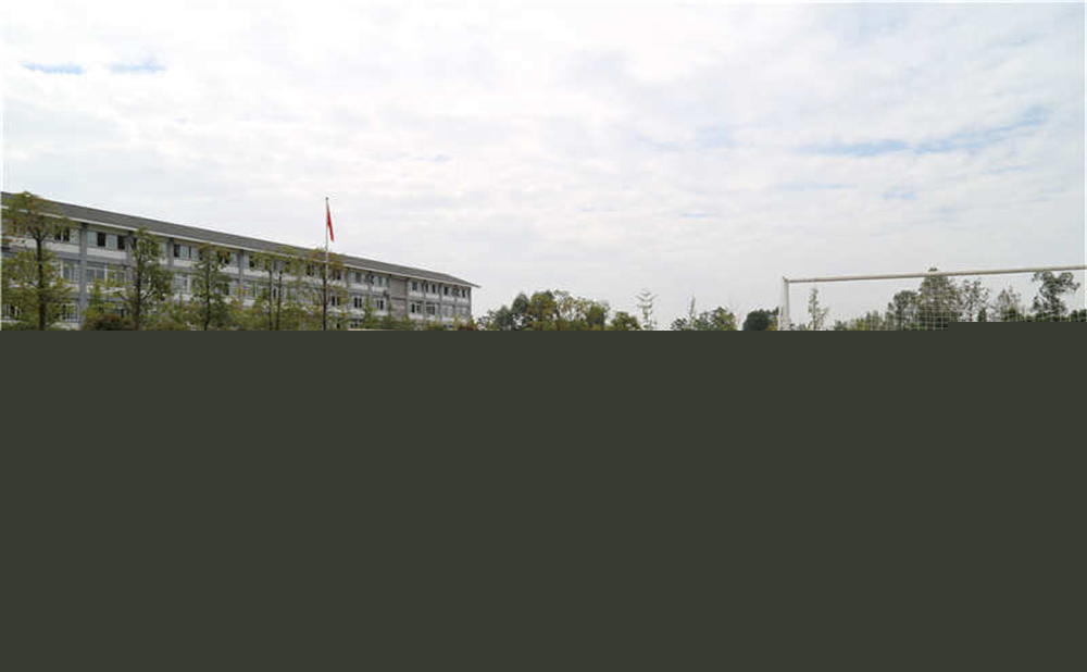 平樂中學(xué)的升學(xué)率是多少？