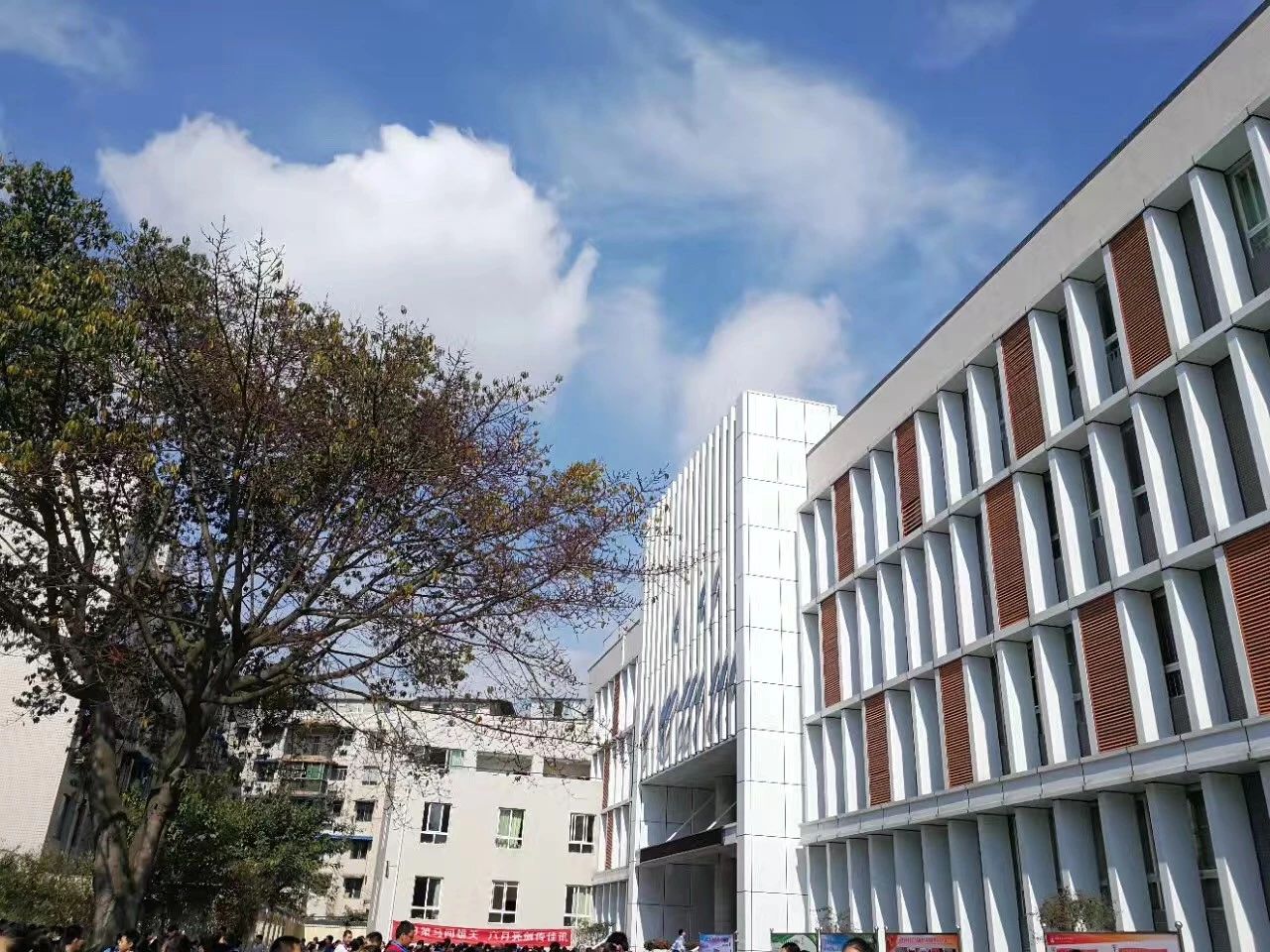 成都二十中高中一年的學(xué)費(fèi)是多少？