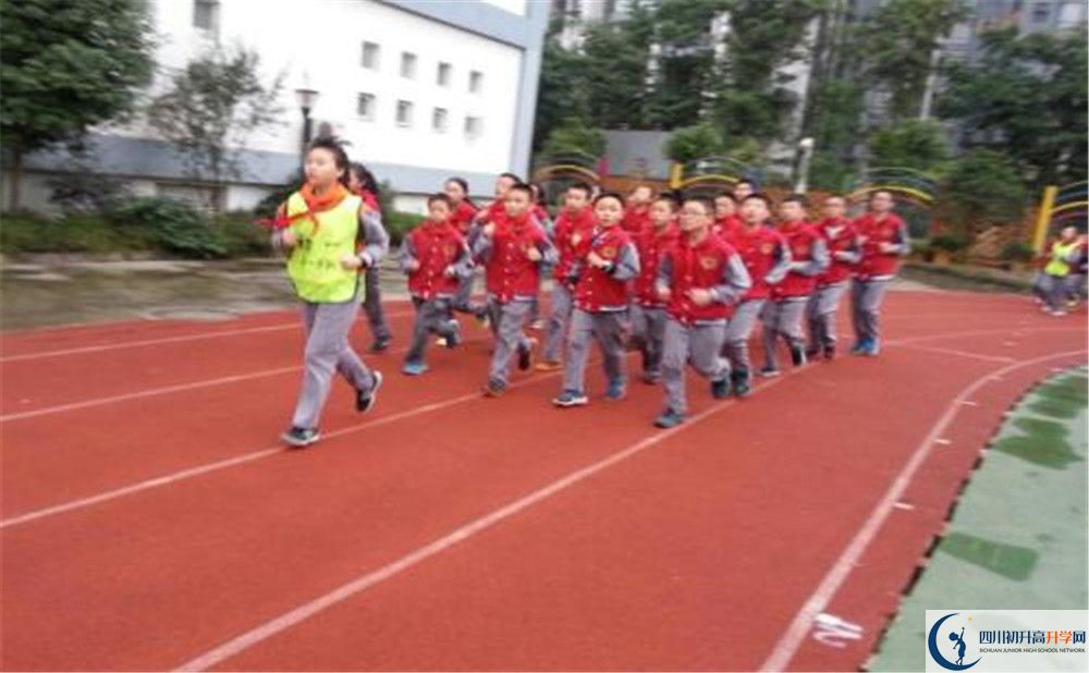2020成都市泡桐樹中學的升學率有多少？