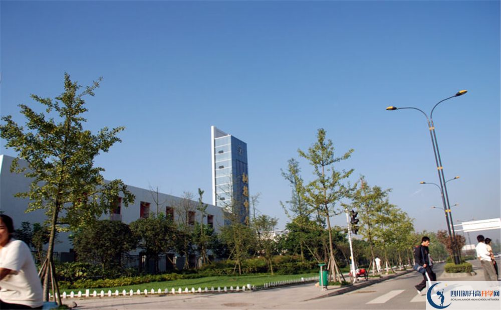成都樹德中學(xué)的學(xué)費(fèi)大概多少錢？
