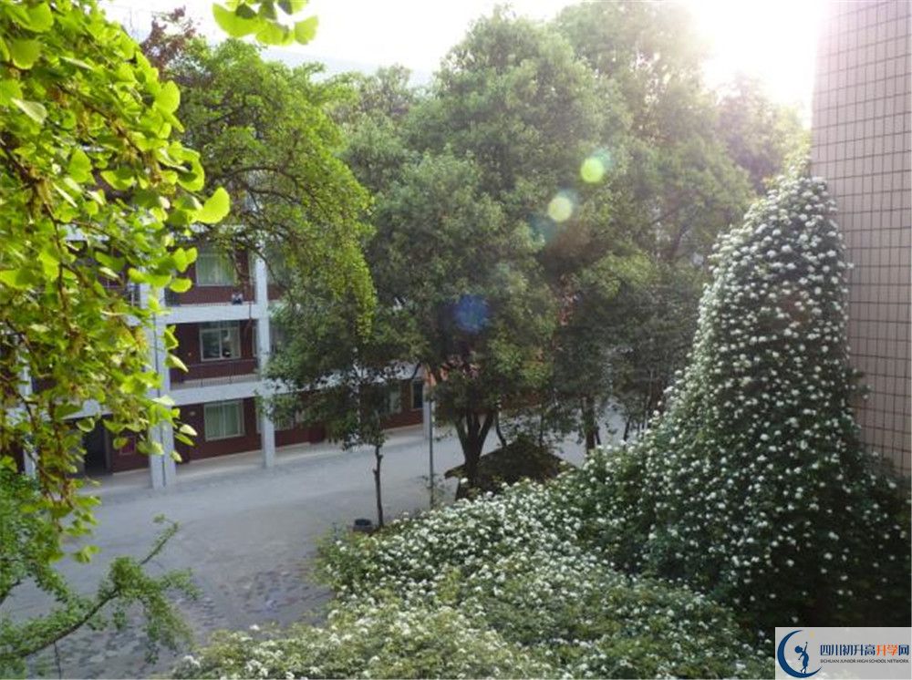 近幾年石室聯(lián)合中學(xué)蜀華分校高中錄取的分?jǐn)?shù)線？