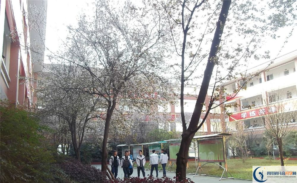 考崇慶中學的分數(shù)線是多少分？