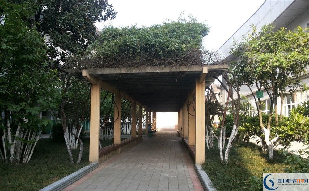 通錦中學2020年清華北大錄取學生有多少？