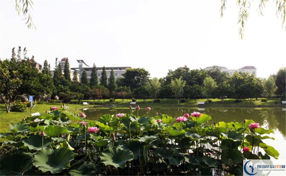 樹德懷遠(yuǎn)中學(xué)2020清華北大錄取學(xué)生是多少？