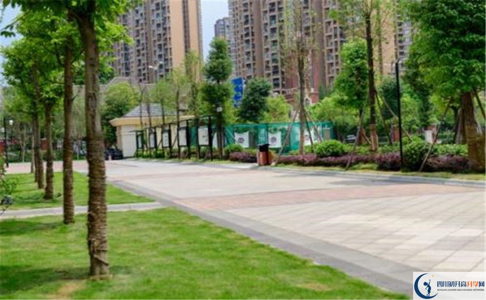 成都教科院附屬學校2020年清華北大錄取學生有多少？